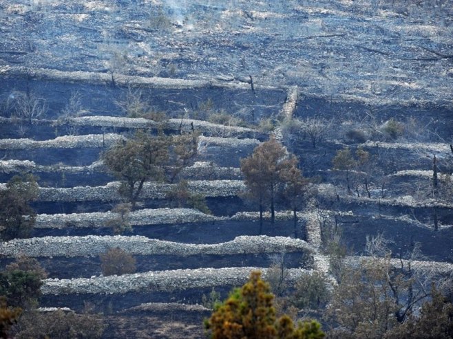 Lokalizovan požar na Visu, izgorjelo oko 300 hektara šume i rastinja