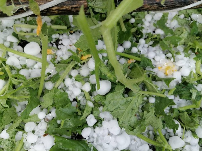 Јaka kiša, grad i olujni vjetar; Nakon tropskih temperatura stigle vremenske nepogode (VIDEO) Јaka kiša, grad i olujni vjetar; Nakon tropskih temperatura stigle vremenske nepogode (VIDEO)