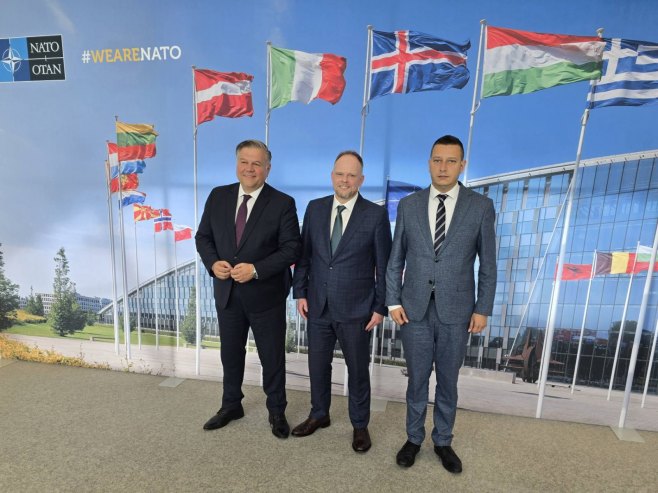 Goganović u Briselu Goganović u Briselu - Foto: SRNA