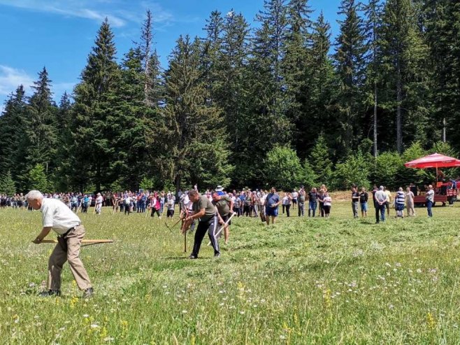 "Kosidbica" u Kneževu okupila više od 30 takmičara