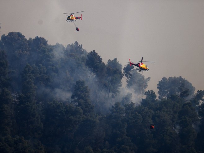 U požaru koji je jutros izbio u Slovenskoj Bistrici izgjorelo 3,5 hektara zemljišta