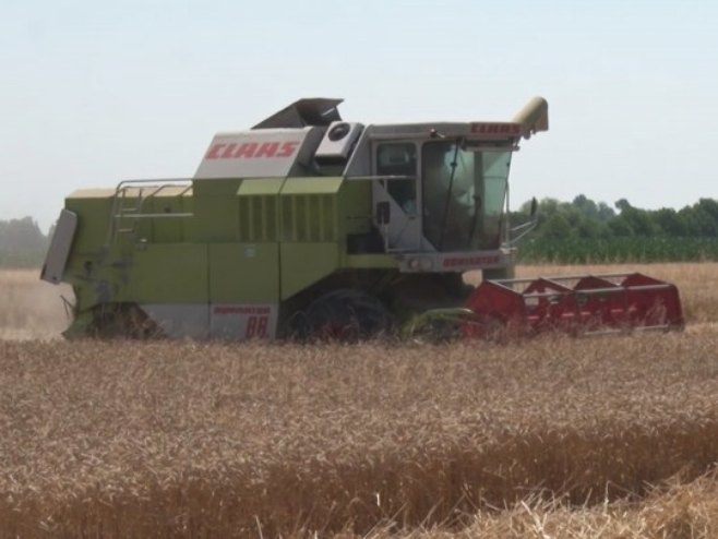 U Lijevče polju u toku žetva - ratari zadovoljni prinosima (VIDEO)
