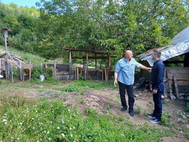 Afrička kuga poharala farmu mangulica u Foči, grad pomaže da se obnovi uzgoj