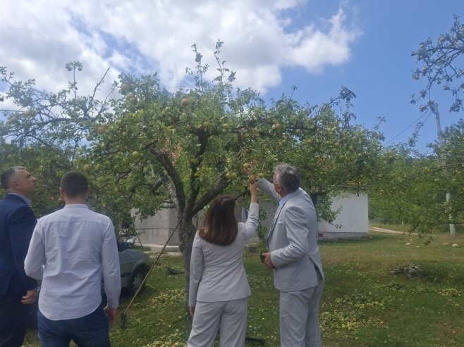 Kuzmićeva u Hercegovini: Obilazi područja pogođena nevremenom
