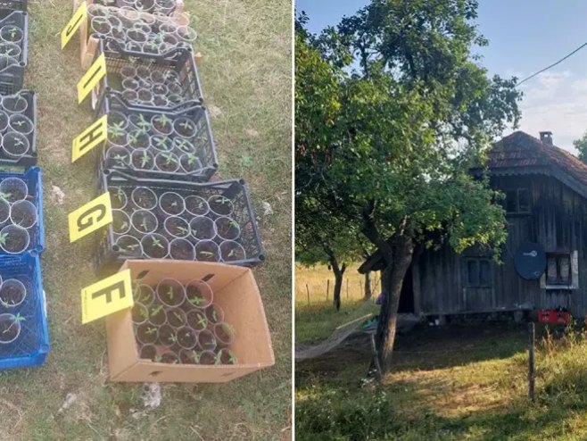 Više uhapšenih u Kneževu: Pogledajte šta je sve policija pronašla
