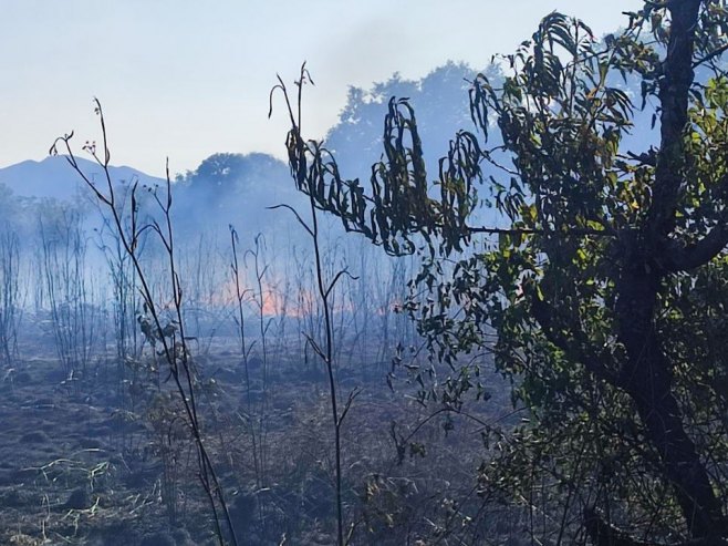 Novi požar kod Trebinja, vatrogasci na terenu (FOTO/VIDEO)