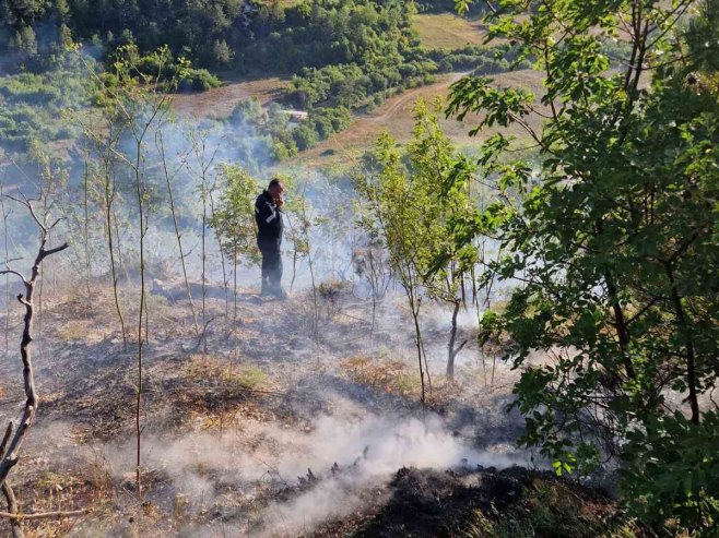 Požar u selu Aranđelovo kod Trebinja pod kontrolom (FOTO)