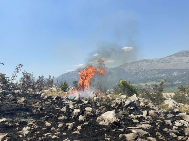 Požar u mjestu Volujac kod Trebinja stavljen pod kontrolu; Vatrogasci odbranili kuće (FOTO/VIDEO)