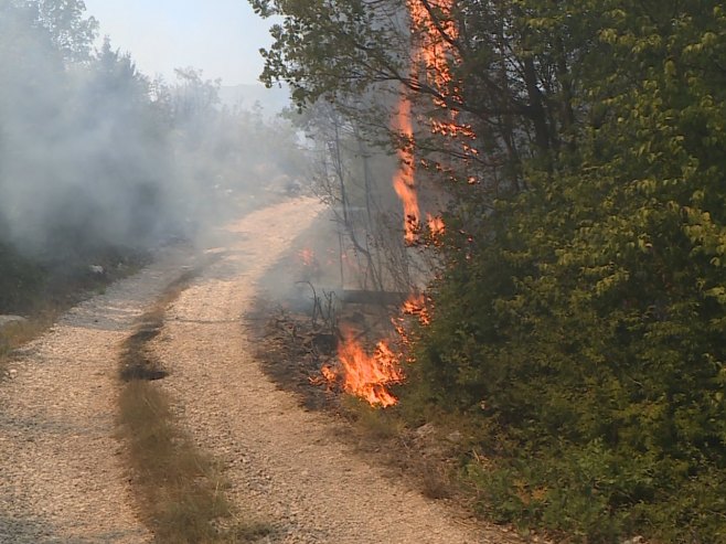 Na području Konjica požar prijeti da ugrozi kuće, zatraženo angažovanje helikoptera