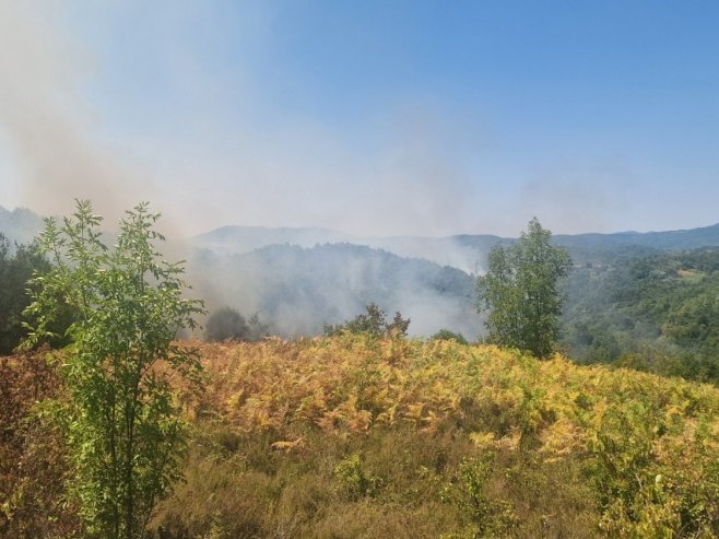 Požar kod Nevesinja pod kontrolom (VIDEO)