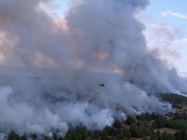 Na Žaračkoj planini i dalje gori više od 80 hektara borove šume, u Deliblatskoj peščari bolja situacija