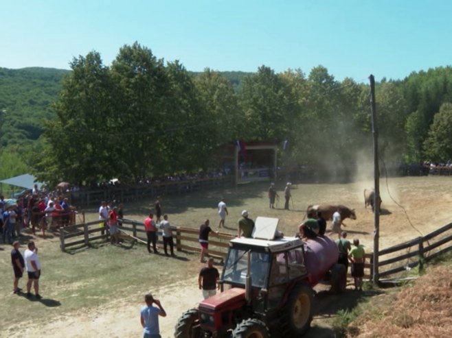 Grmečka korida održana na Popovića brdu (VIDEO)