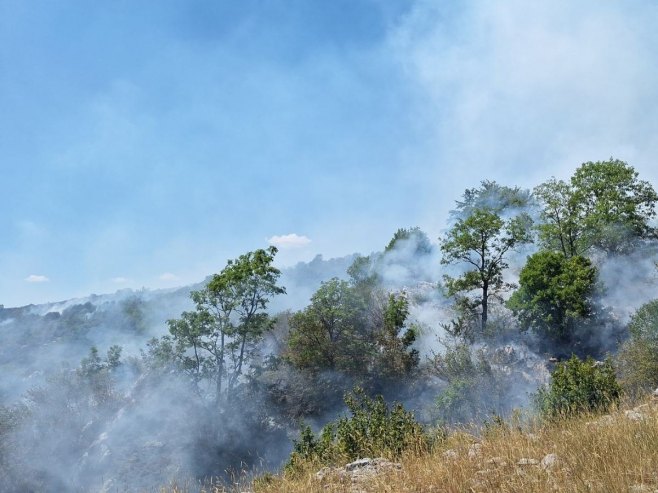 Požar na području Slivalja, Gacko - Foto: RTRS