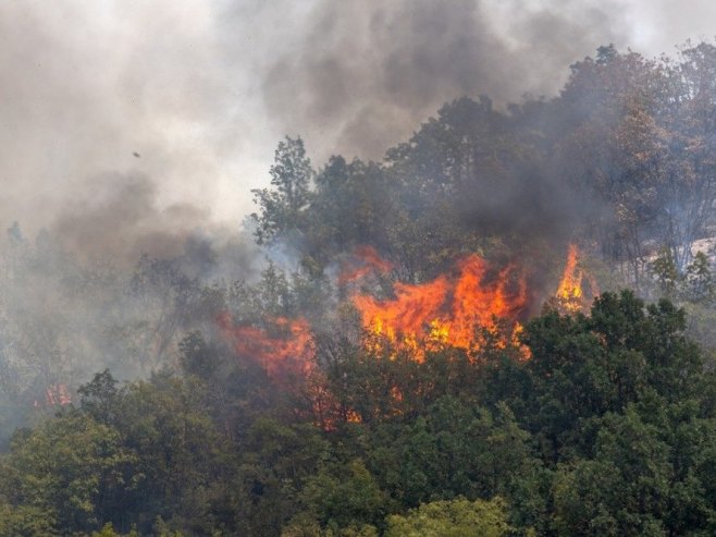 Slovenija: Požar kod Kranjske Gore ponovo se razbuktao