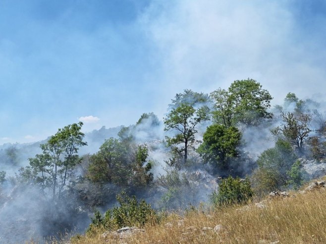 Apel Vatrogasnog saveza Srpske: Ne paliti suvu travu, korov ni drugi poljporivredni otpad (FOTO)