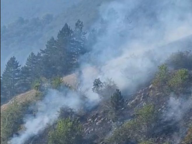 Aktivno više požara na području Nevesinja, najduža požarišna linija na planini Crvanj (VIDEO)
