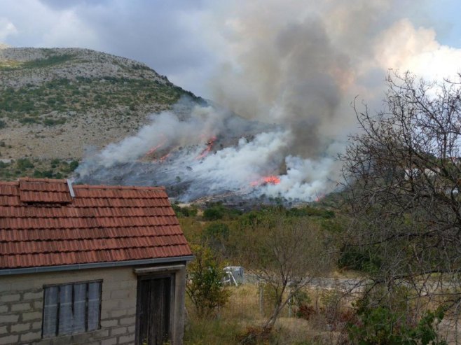 Požar u naselju Ivanica između Trebinja i Dubrovnika (VIDEO)