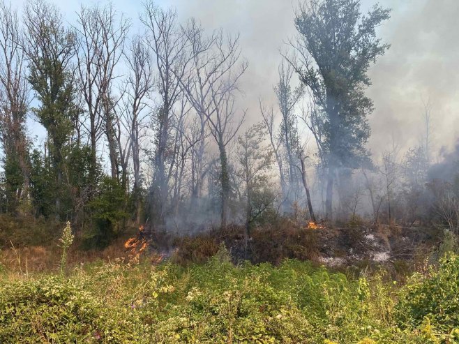 Vjetar ponovo razbuktao požar kod Bijeljine