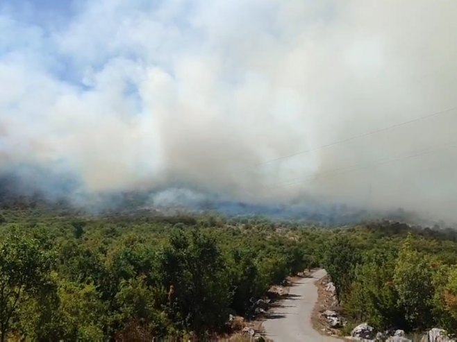 Požar u rejonu Drenovog Dola na Zupcima kod Trebinja širi se na teško pristupačnom terenu (VIDEO)