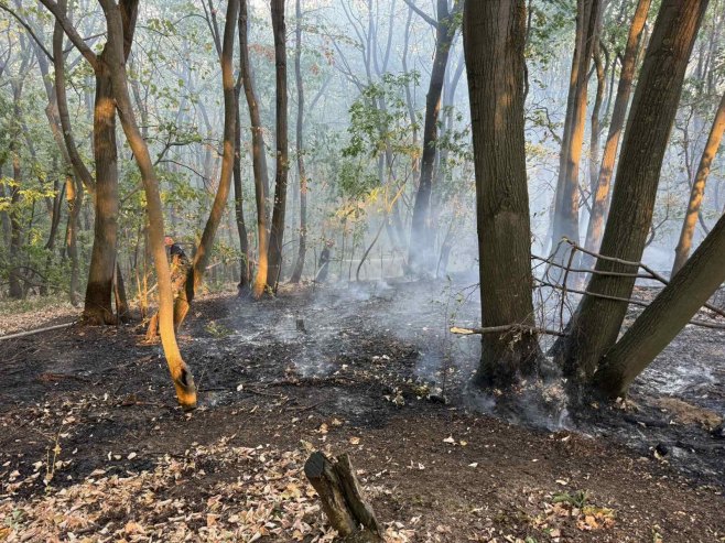 Aktivno više požara, najteža situacija na području Bileće