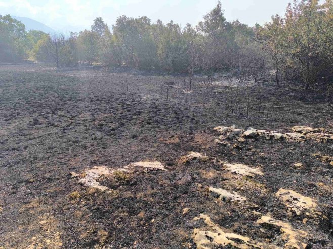 Ugašen požar u Zupcima: Iza vatrene stihije ostali samo gar i pepeo (FOTO)