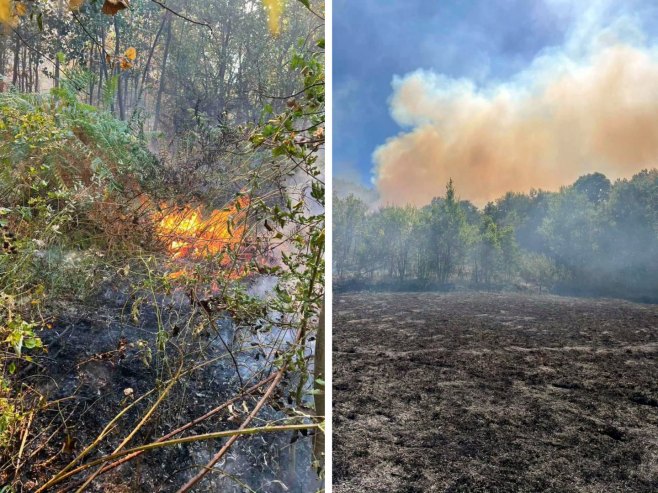 Zvornik: Požari na području Snagova i Kamenice (FOTO)