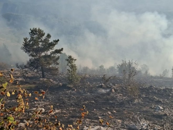 Spriječeno širenje vatre prema većem području Trebevića (FOTO)