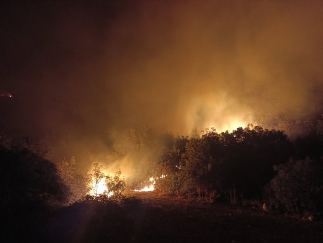 Kašiković za RTRS: Borba sa požarima na području Trebinja i dalje traje