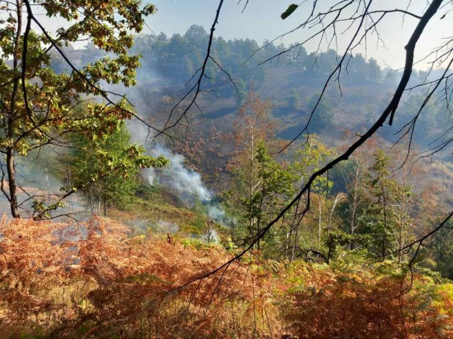 Zvornik: Vatra prijetila kućama, danas situacija stabilnija (FOTO)