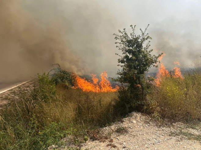 Požar kod magistralnog puta Trebinje-Herceg Novi, saobraćaj se odvija otežano (VIDEO)