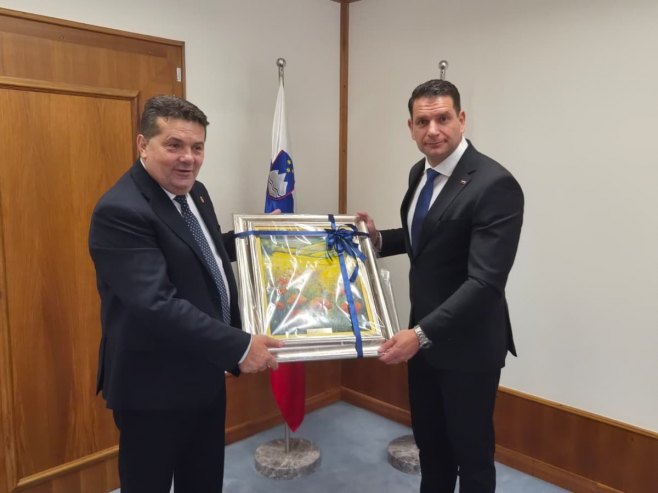 Stevandić u Sloveniji: Parlamentarna diplomatija mehanizam koji čuva mir i bezbjednost (VIDEO)