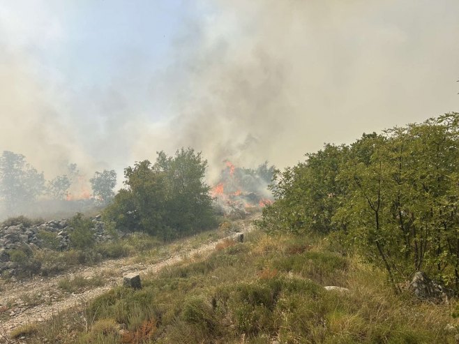 Јak vjetar otežava gašenje požara kod Trebinja - vatra se otela kontroli (VIDEO)