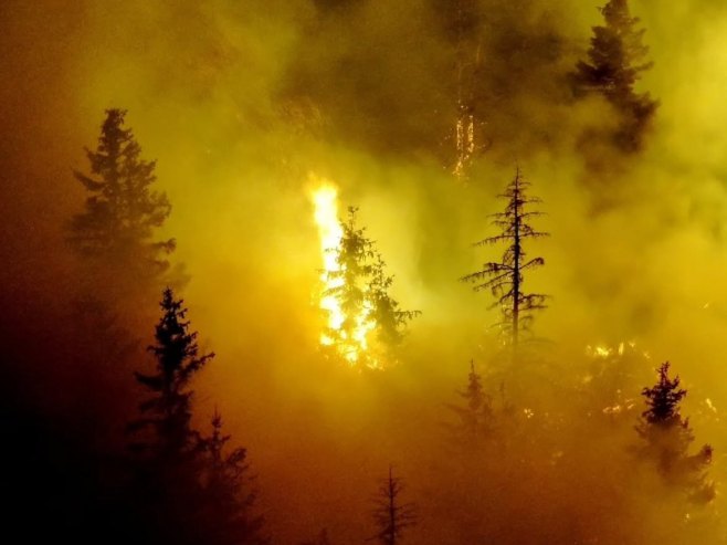 Požar na području vrha Trebevića poprimio ozbiljne razmjere (FOTO)