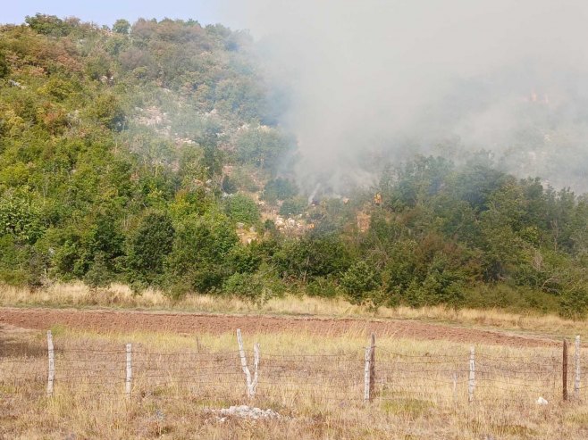Požar kod Trebinja - Foto: RTRS
