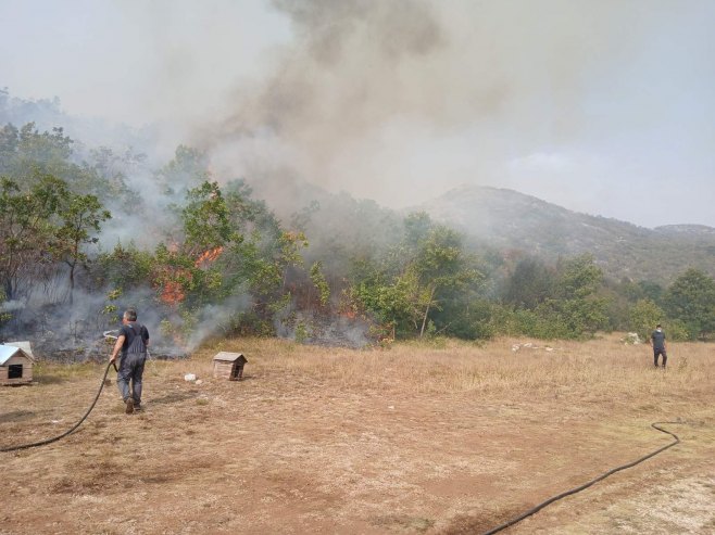 Trebinje: Požar prema selu Konjsko, ekipe na terenu (FOTO/VIDEO)
