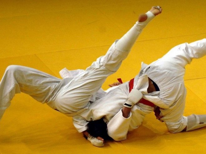 DŽiju-džicu (Foto: EPA/ACHIM SCHEIDEMANN/ilustracija) - 