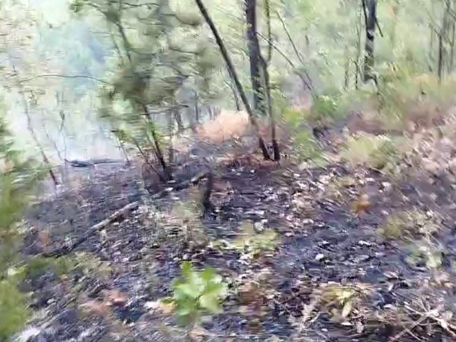 Vatrogasci cijelu noć gasili požar u Vrbanji, situacija bolja jutros (VIDEO)