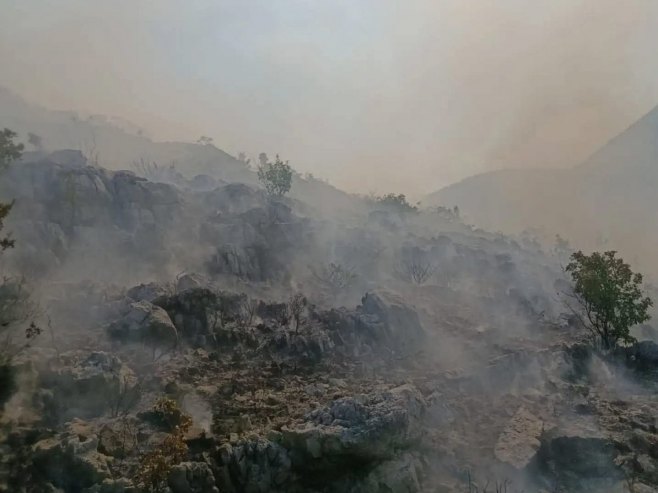 Požar kod Trebinja - Foto: Ustupljena fotografija
