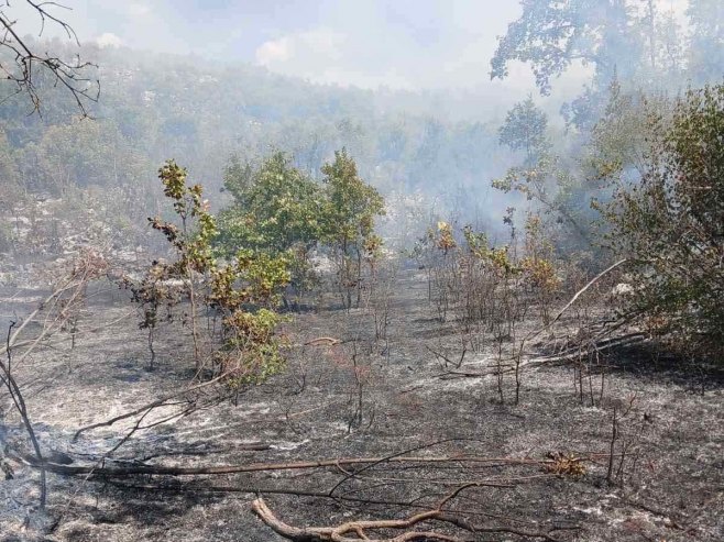 Šumski požar u rejonu trebinjskog sela Vlasače pod kontrolom (VIDEO)