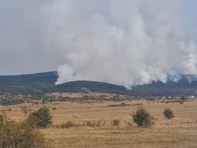 Vatrogasci iz Laktaša i Banjaluke vatrenu stihiju u Drvaru stavili pod kontrolu (FOTO)