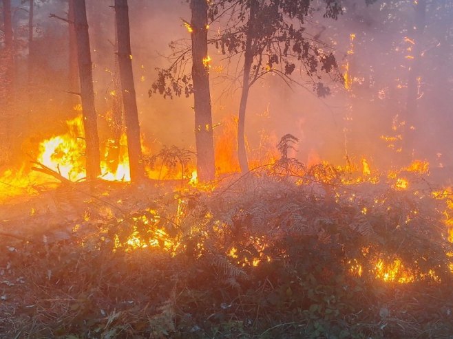 Požar kod Metkovića brzo se širi, u pomoć stigla četiri kanadera