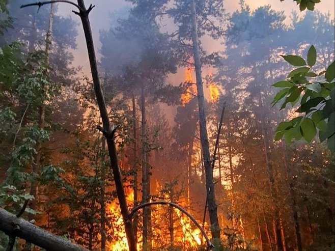 Veliki požar u Gornjoj Piskavici kod Banjaluke, plamen prijeti kućama (VIDEO)