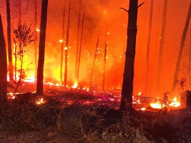 Požarna linija na Braču duga gotovo 40 kilometara