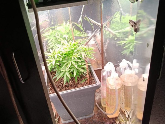 U akciji "Trener" oduzeta četiri kilograma marihuane, hašiš i laboratorija (FOTO)