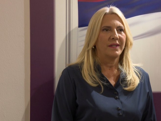 Cvijanović: Suljagićeve izjave manipulacija i napad na ustavni poredak