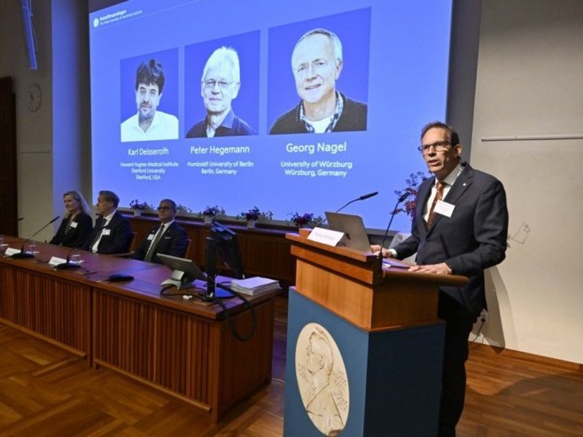 Dobitnici Nobelove nagrade za medicinu (Foto: EPA/PONTUS LUNDAHL) - 