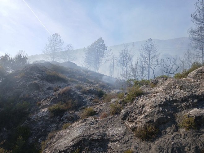 Požar iznad brane Grančarevo (FOTO)