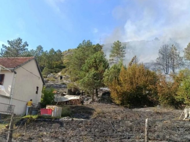 Požar u Grančarevu kod Trebinja - Foto: SRNA