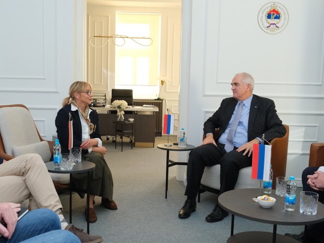 Trišić Babić i šef Misije OEBS-a - Foto: Ustupljena fotografija