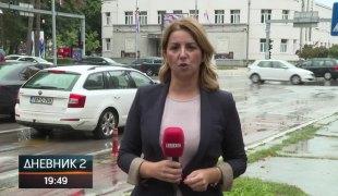 Dnevnik 2